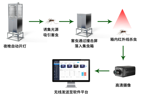 農(nóng)業(yè)蟲(chóng)情監(jiān)測(cè)系統(tǒng)
